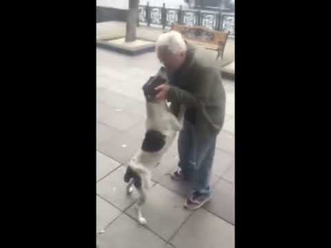 Man found his dog after 3 years !!! ქუჩაში 3 წლის წინ დაკარგული ძაღლი იპოვა ! ემოცია  !